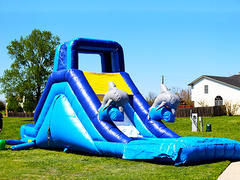 16' Inflatable Dolphin Water Slide 16' Inflatable Dolphin Water Slide